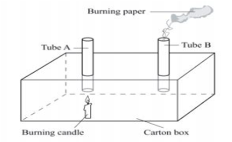 KCPE 2021 SCIENCE